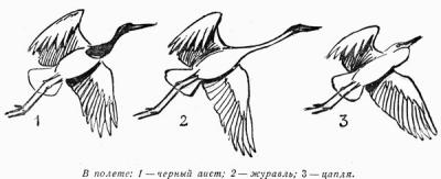 Прикрепленное изображение: 0881-2.jpg