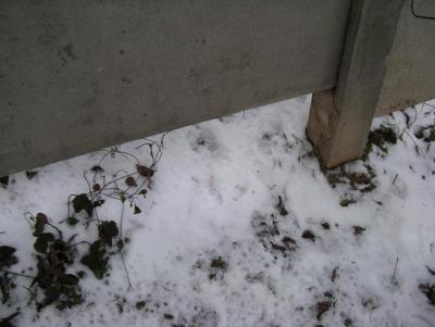 Прикрепленное изображение: IMG_3131.jpg