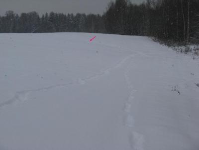 Прикрепленное изображение: IMG_3138.jpg