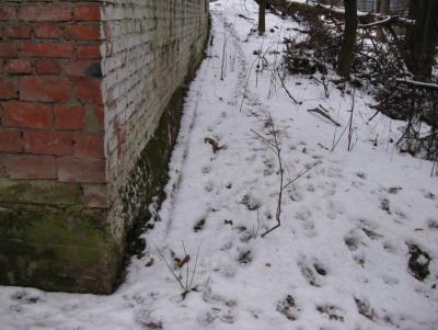Прикрепленное изображение: IMG_3130.jpg