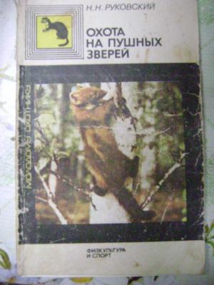 Прикрепленное изображение: DSC07132.JPG