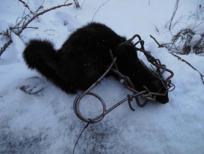 Прикрепленное изображение: DSCN05141.jpg