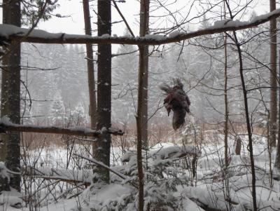 Прикрепленное изображение: DSCN05071.jpg