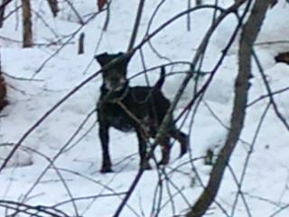 Прикрепленное изображение: DSC07331.JPG