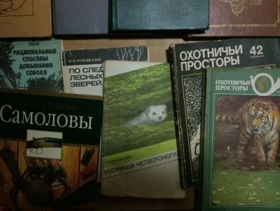 Прикрепленное изображение: DSC07159_mini.JPG