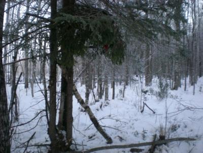 Прикрепленное изображение: Изображение 008.jpg