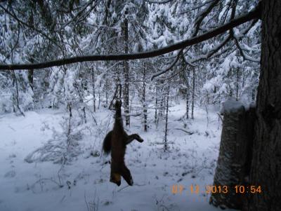 Прикрепленное изображение: DSCN0280.JPG