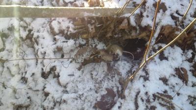 Прикрепленное изображение: IMG_20131202_122044.jpg