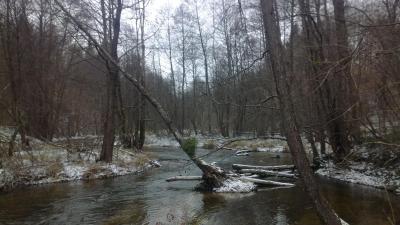 Прикрепленное изображение: IMG_20131203_120930.jpg