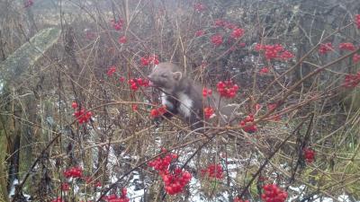 Прикрепленное изображение: IMG_20131204_143253.jpg