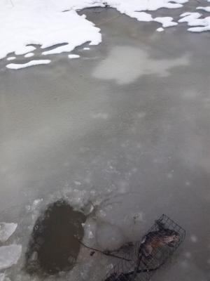 Прикрепленное изображение: MrgBfIO2-L0.jpg
