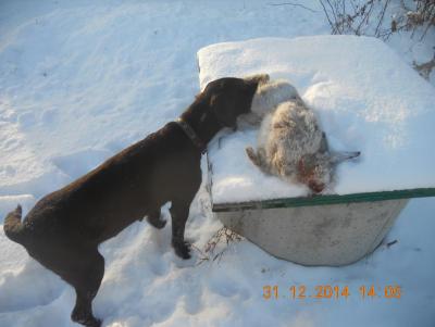 Прикрепленное изображение: DSCN1094.JPG
