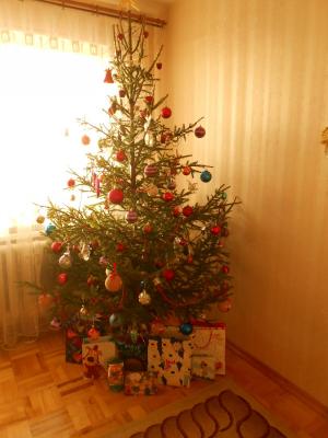 Прикрепленное изображение: DSCN3752.JPG