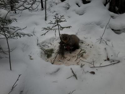 Прикрепленное изображение: 20141211_110354.jpg