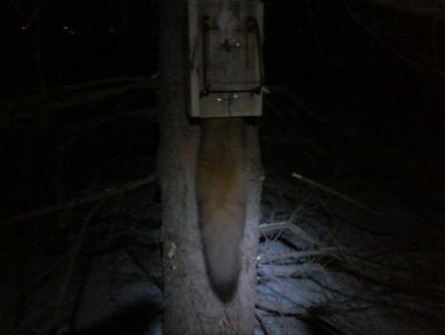 Прикрепленное изображение: 20141127_175650.jpg