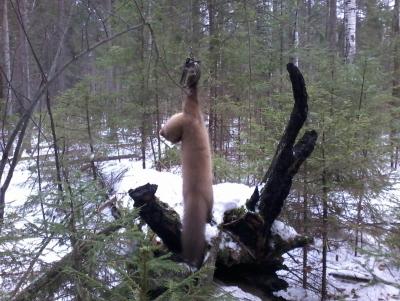 Прикрепленное изображение: 20141122_124058.jpg