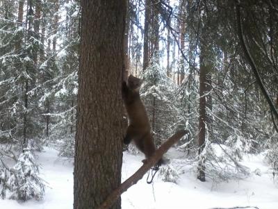 Прикрепленное изображение: 20141111_145106.jpg