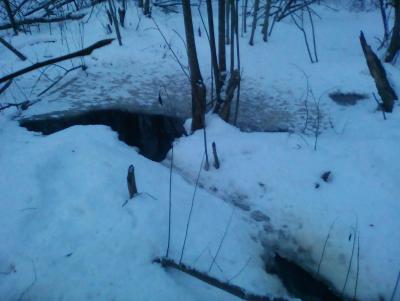 Прикрепленное изображение: IMG_20161210_162202 (2).jpg