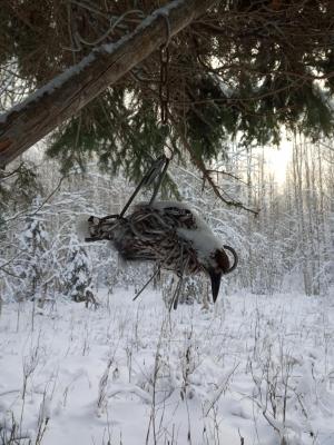 Прикрепленное изображение: IMG_20191125_124428.jpg