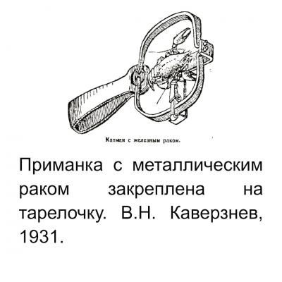 Прикрепленное изображение: IMG_20201211_083521_170.jpg